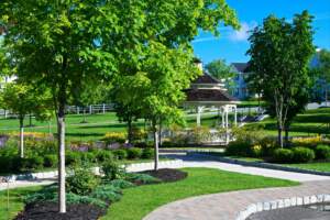 commercial landscaping