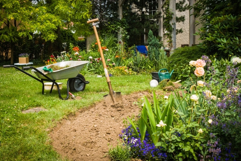 organic mulch vs inorganic mulch