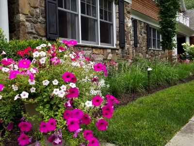 Front Entryway and Backyard Landscaping
