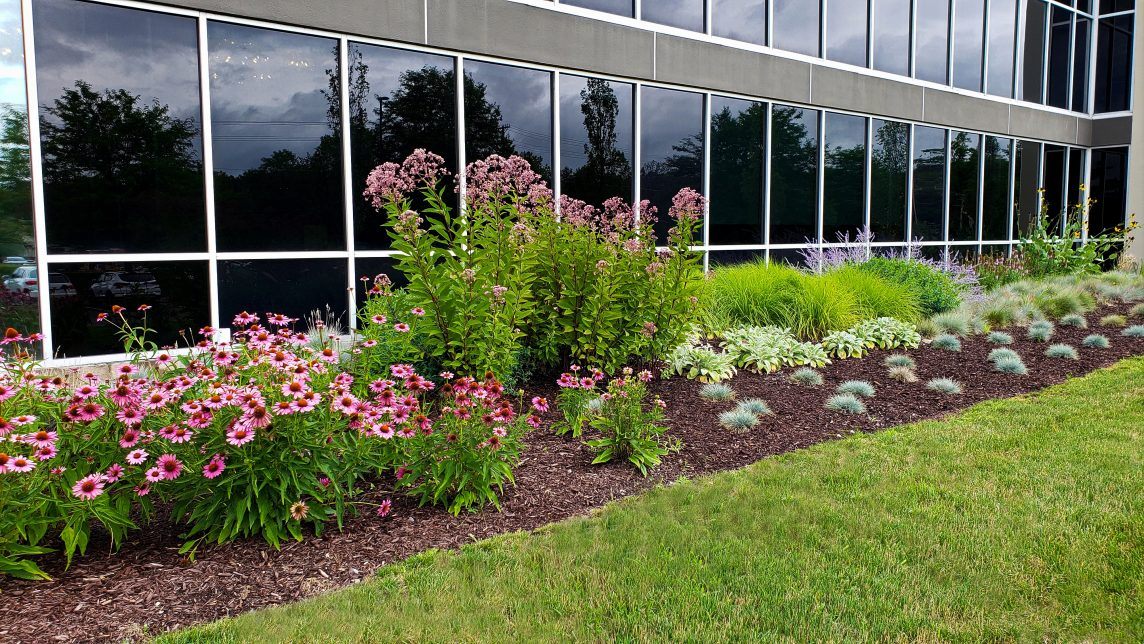 Landscape outdoor solutions in New York