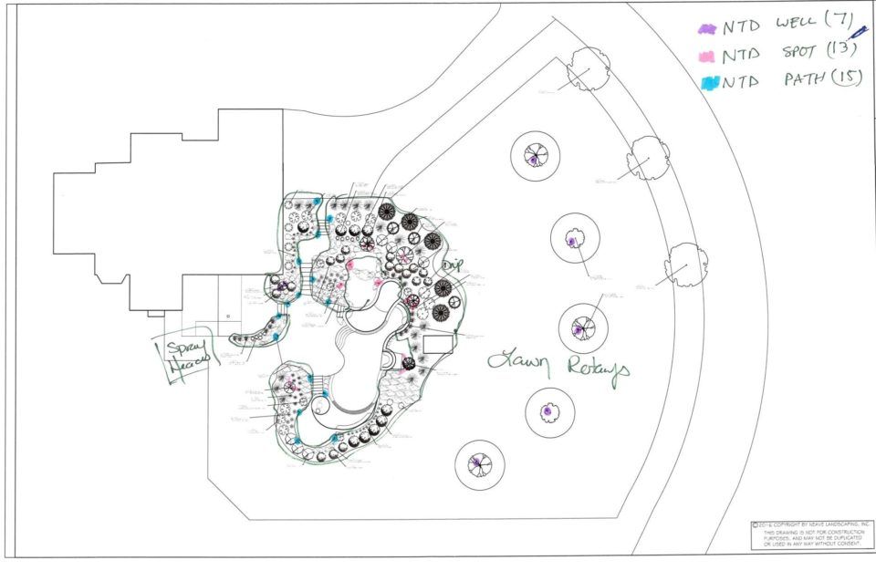 pool design image 1
