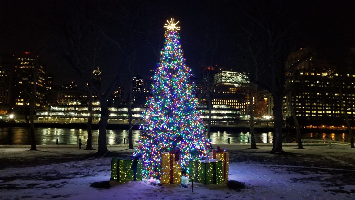 commercial decor tree