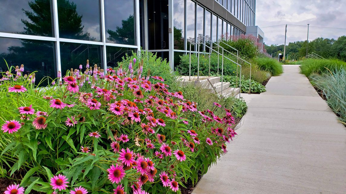 outdoor flower planting outside of business