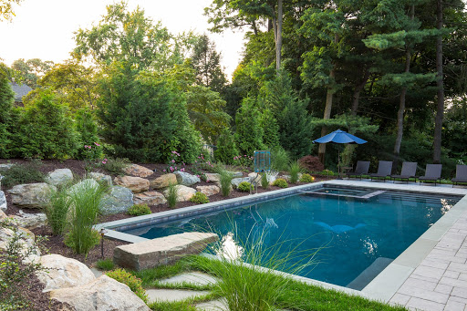 Pool Diving Board