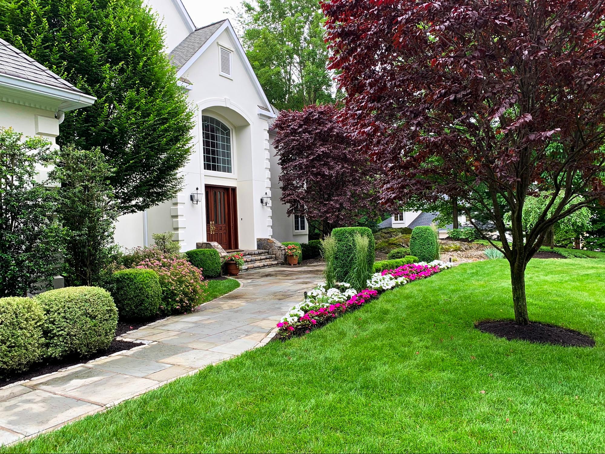 house with healthy lawn in summer heat