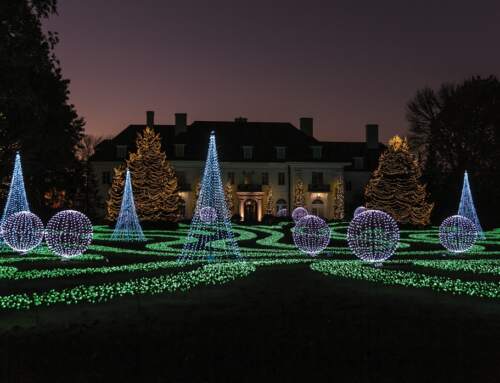 Five Reasons to Hire a Pro to Put Up Your Holiday Lights