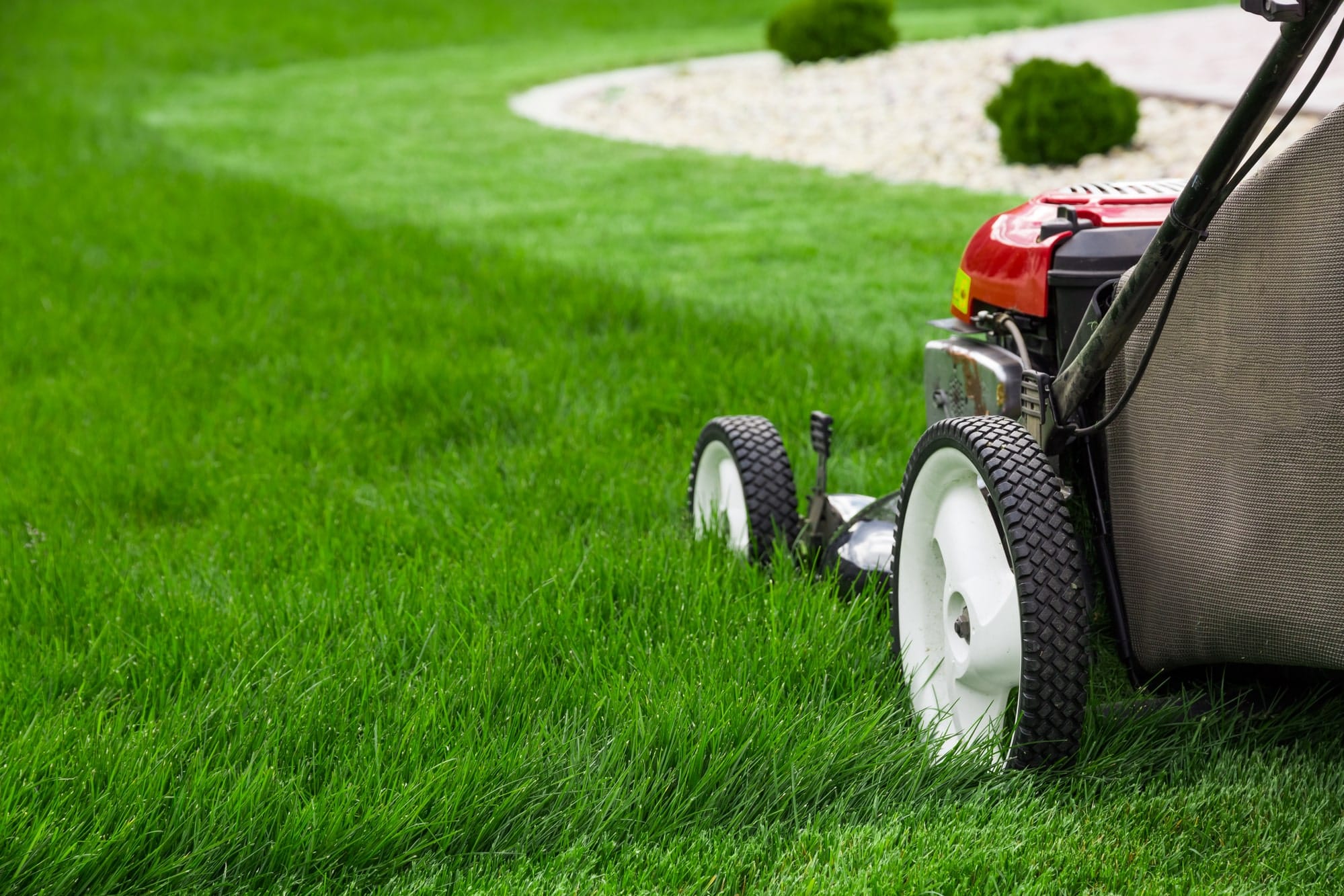 advance or basic lawn mowing services from lawn care companies