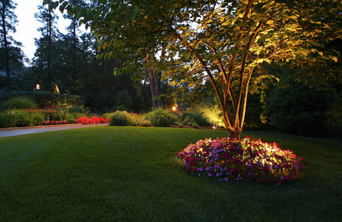 Neave Group's experience adding landscape lighting makes our customers in NY trust us