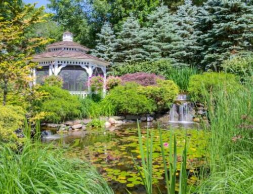 How to Choose a Lawn Care Company in New York and Connecticut