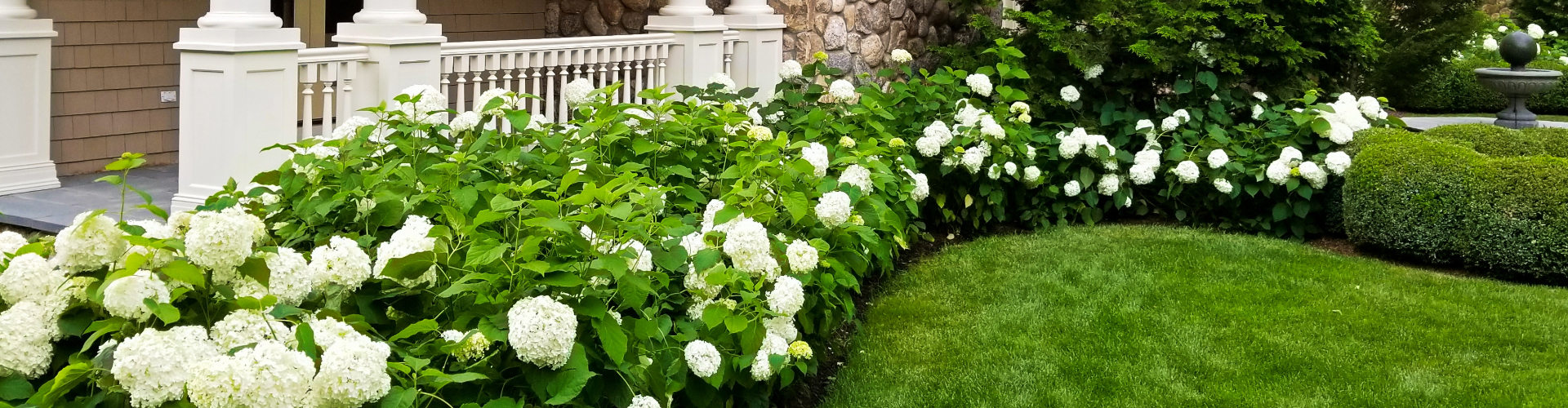 Residential Lawn Care Services Banner Resized